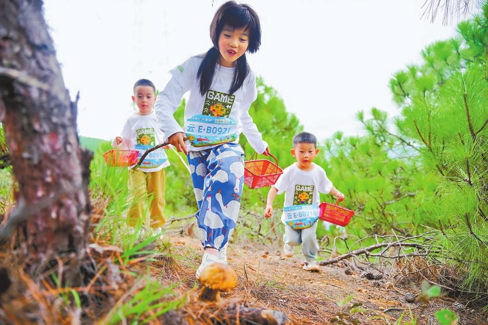 入达, 过路客, 娄莹 入达, 过路客, 娄莹